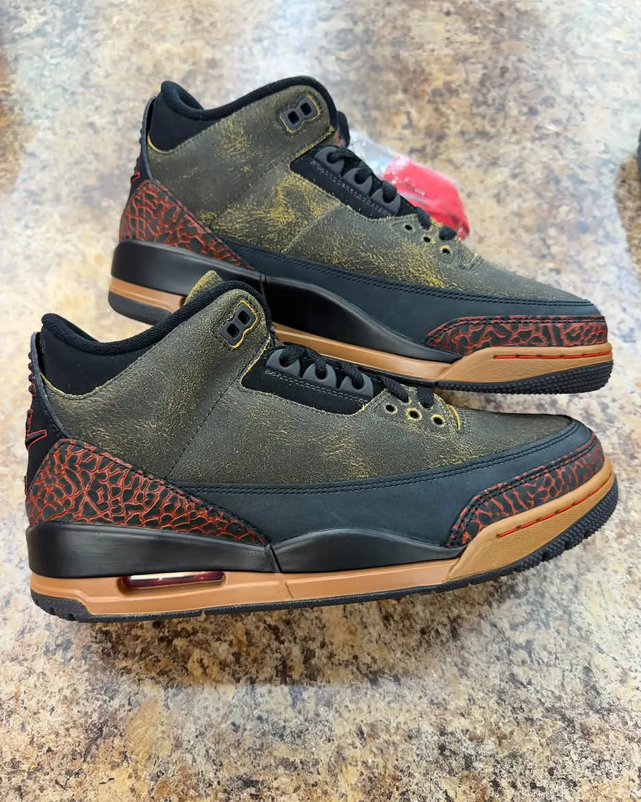 Air Jordan 3 “Not Nice”